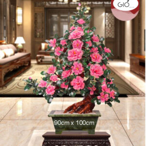 Cây hoa đá phong thủy