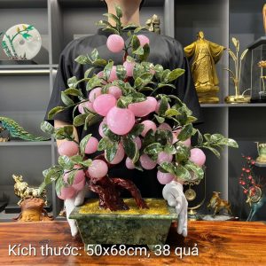 Cây đào quả to 38 quả ( CD -20 )