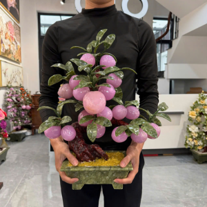 Cây Đào 18 quả hồng tím