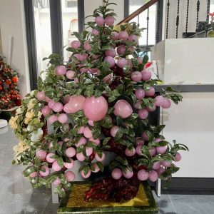 Cây Đào 108 quả Hồng