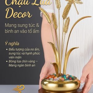 Chậu lúa vàng ( CC – 09 )